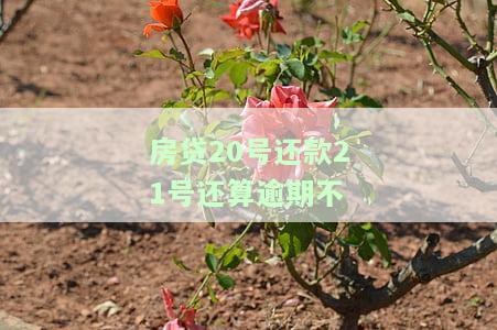 房贷20号还款日21号扣的款，房贷还款提醒：20号为还款日，21号将进行扣款，请注意账户余额充足