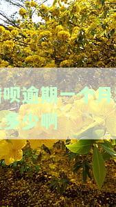 借呗逾期一个月利息计算方法