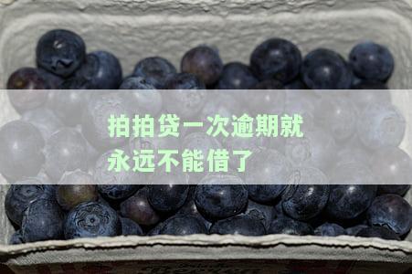 拍拍贷一次逾期是否会导致永久无法借款？
