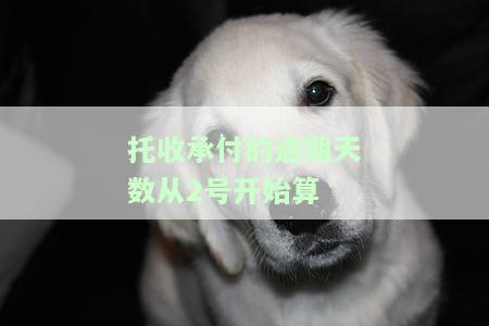托收承付逾期付款，逾期未付：深入理解托收承付的风险和解决方案