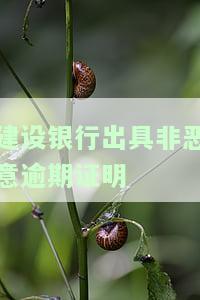 建设银行出具非恶意逾期证明所需时间及影响