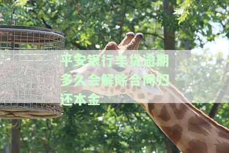 平安银行车贷逾期多久会要求全额还清，平安银行车贷逾期时间：何时需要全额还款？