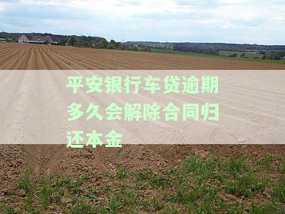 平安银行车贷还款逾期一天会否上征信？
