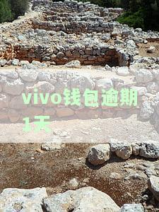 Vivo钱包逾期多久会电话催款给家人朋友？