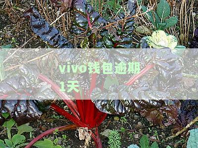 vivo钱包逾期1天-vivo钱包逾期4天怎么样了把钱冲进去自己会扣吗?