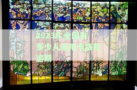 2023年全国有多少人信用卡贷款逾期了，揭秘2023年：全国信用卡贷款逾期人数达多少？
