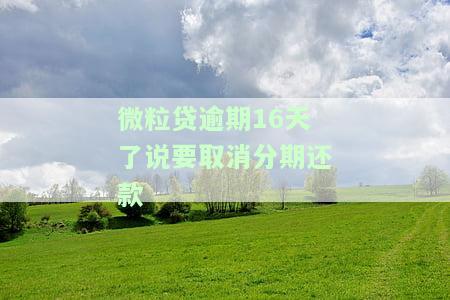 微粒贷逾期16天了说要取消分期还款-微粒贷逾期16天了说要取消分期还款是真的吗
