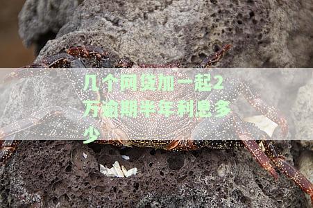 几个网贷加一起2万逾期半年利息多少钱，网贷逾期半年，多个平台欠款两万，利息要多少？