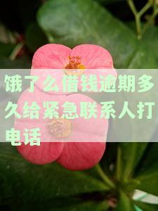 饿了么借钱逾期一天会影响征信吗？答案在这！