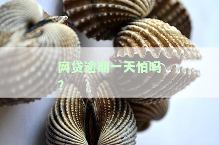 网贷逾期一天问题大吗？影响及解决办法全解析