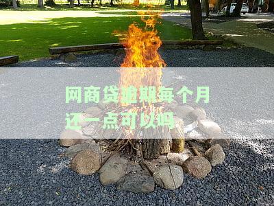 网商贷逾期每个月还一点可以吗怎么办，如何处理网商贷逾期？每月还款可行吗？