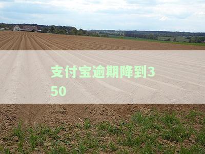 支付宝逾期350天，警告！您的支付宝已逾期350天，立即处理以避免进一步处罚