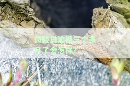微粒贷逾期三个月会怎么样，警惕！微粒贷逾期三个月的严重后果
