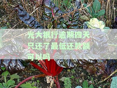 光大银行逾期四天只还了最低还款额可以吗-光大银行逾期4天全额还款后还会收利息吗