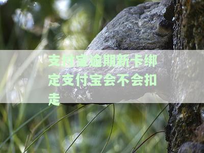 支付宝逾期新卡绑定支付宝会不会扣走-支付宝逾期新卡绑定支付宝会不会扣走钱
