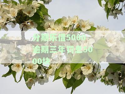 分期乐逾期五千多块钱,立案了,会坐牢吗？还款解决方案及可能后果分析
