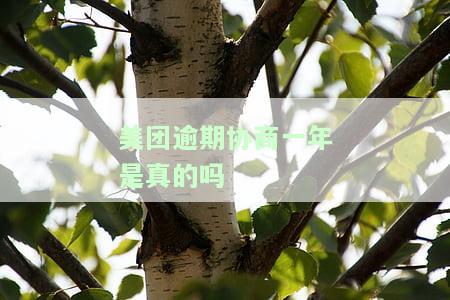 美团逾期协商一年是真的吗