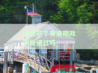 如何解决征信花、有逾期记录却需要政审的问题？