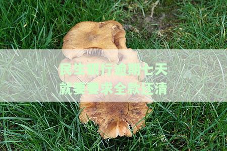 民生银行逾期七天就要要求全款还清怎么办，民生银行：逾期七天仍未还款，将要求全款一次性偿还！