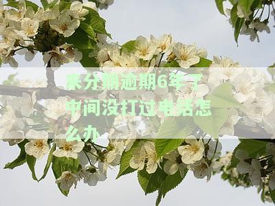 来分期逾期几天不还会打电话给紧急联系人？