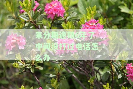 来分期逾期天天打电话,这几天怎么不打了，来分期逾期：为何最近不再接到催款电话？