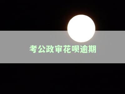 公务员政审：蚂蚁花呗的影响及能否通过