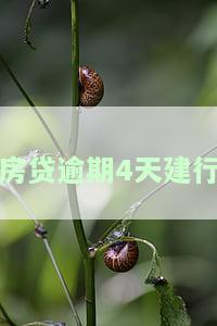 建行房贷逾期四个月还清后是否仍会被起诉？解决方案是什么？