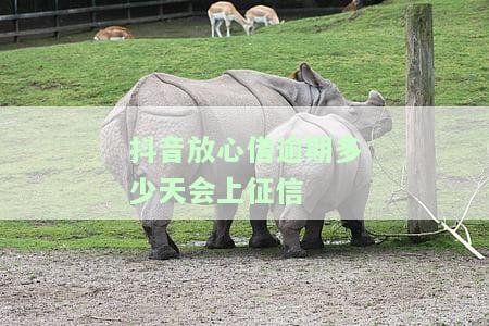 抖音放心借逾期多久会上征信？影响大吗？