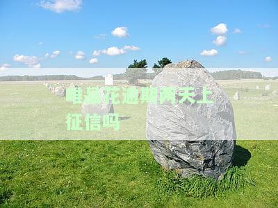 唯品花逾期还款影响信用吗，逾期还款会影响信用吗？唯品花为例