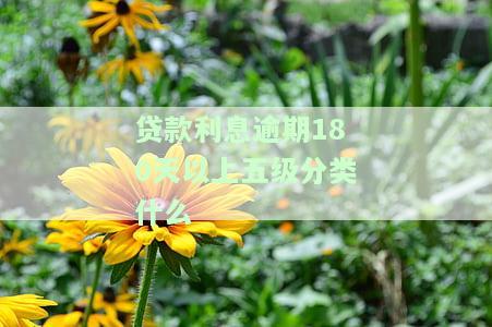 如何计算贷款逾期天数进行五级分类？从逾期30天开始，五级分类会如何变化？