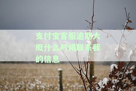 支付宝逾期客服打电话说几点之前必须还清，支付宝逾期：客服电话催款，要求限时还款！
