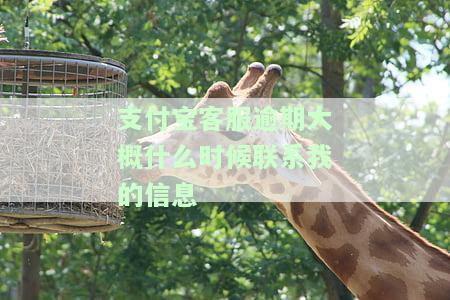 支付宝客服逾期大概什么时候联系我的信息-支付宝客服逾期大概什么时候联系我的信息呢