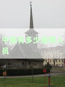 中国逾期人员抓捕情况：总数及详细数据