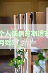 征信逾期透支信息总汇，全面了解个人信用状况：征信逾期透支信息总汇