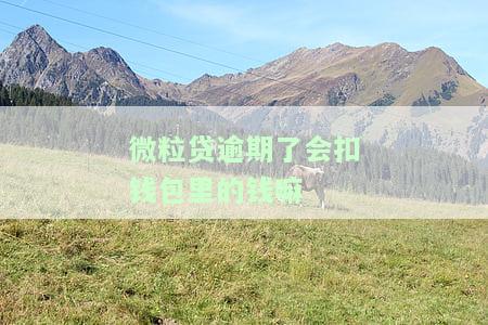 微粒贷逾期了会扣钱包里的钱嘛-微粒贷逾期了会扣钱包里的钱嘛怎么办