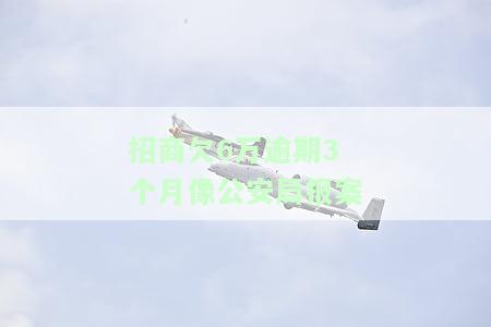 招商银行欠款6万多逾期4个月会被起诉吗，逾期四个月，招商银行6万元欠款将面临被起诉风险