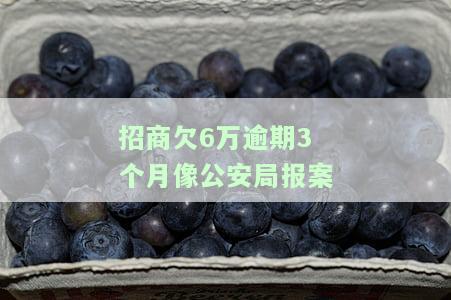招商逾期6万不肯协商还款怎么办，招商逾期6万，无法协商还款？解决方案在此！