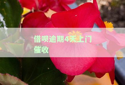 借呗逾期4天上门催收合法吗？真有其事吗？合法与否解析