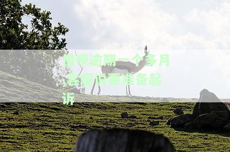 借呗逾期一个多月，客服称可能被起诉，实际情况如何？