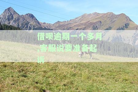 借呗逾期一个多月,客服说要准备起诉-借呗逾期一个多月,客服说要准备起诉是真的吗