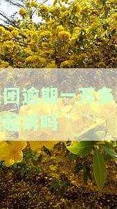 美团逾期一万多给我说上法庭是真的吗，真相揭示：美团逾期一万多，被告上法庭是否属实？