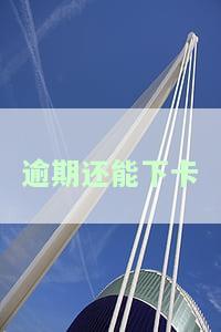 逾期还能下卡么，逾期后是否还有机会申请信用卡？