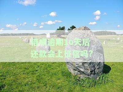 借呗逾期10天后还款会上征信吗怎么办，借呗逾期10天后还款是否会上征信？解决方案大揭秘！