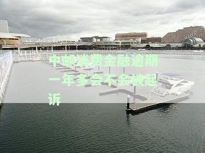 中邮消费金融贷款逾期一年多会被告吗，逾期一年多的中邮消费金融贷款是否可能面临被告风险？