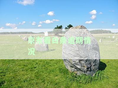逾期后如何查询是否已上征信？