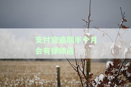 支付宝逾期会收到律师涵，注意！逾期还款可能会导致收到律师函，支付宝用户需警惕