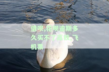 借呗逾期，花呗还能继续使用吗？
