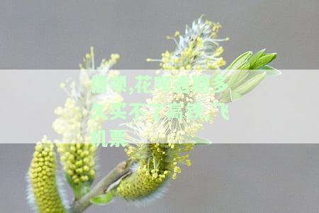 支付宝花呗逾期多久上征信借呗逾期几天上征信，支付宝花呗、借呗逾期时间：影响个人信用的“生死线”