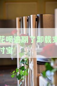 欠花呗卸载支付宝还钱的时候再下行吗，能否在卸载支付宝后再还款给花呗？