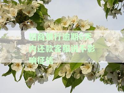 招商银行逾期6天内还款，客服称不影响征信，是否可信？